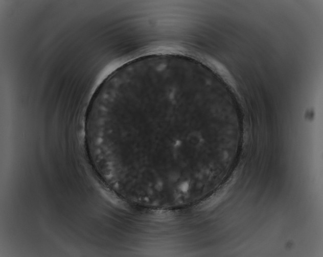 X0000101101226200807171904