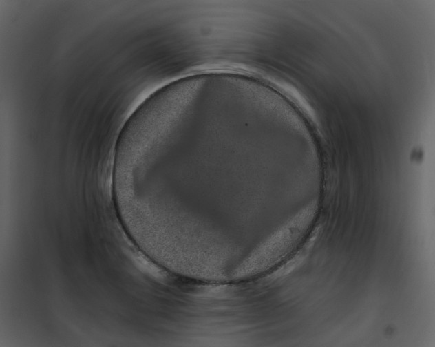 X0000101101228200807171904