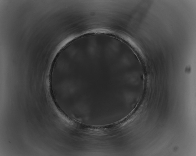 X0000101101229200807171904