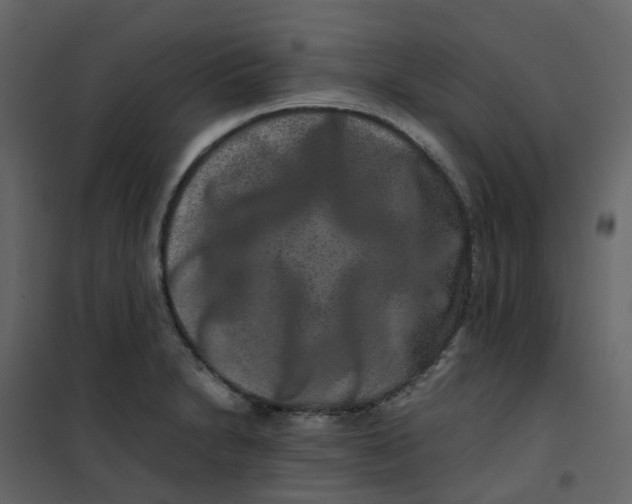 X0000101101230200807171904