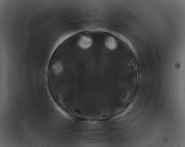 X0000101101231200807171904