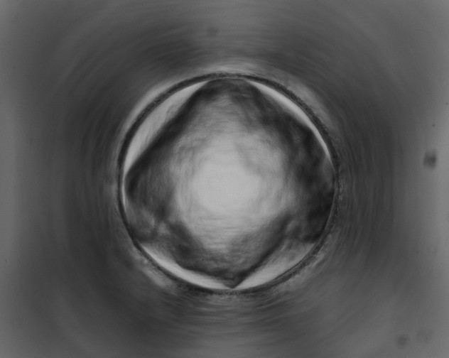 X0000101101232200807171904