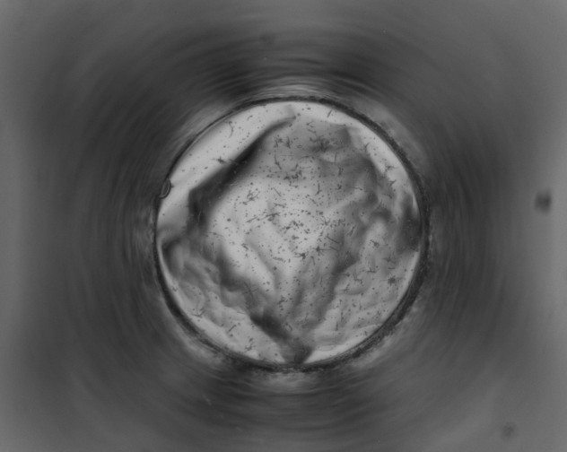 X0000101101233200807171904