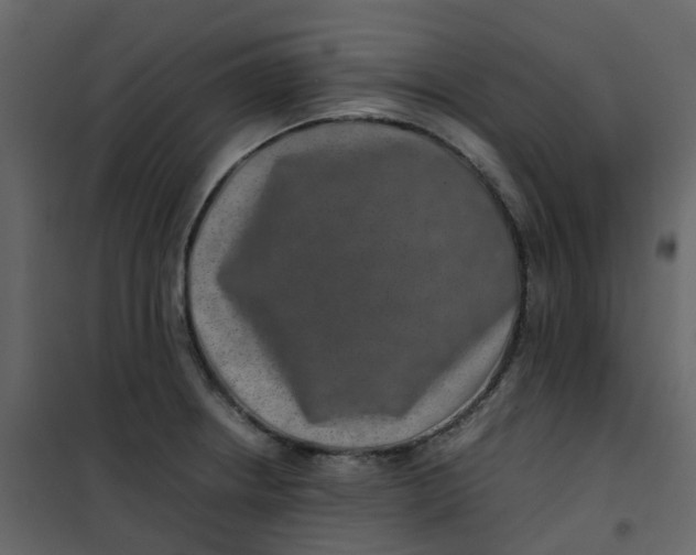 X0000101101234200807171904