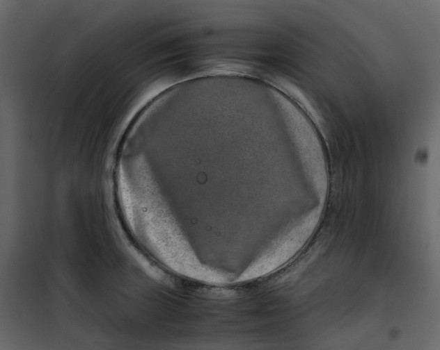 X0000101101235200807171904