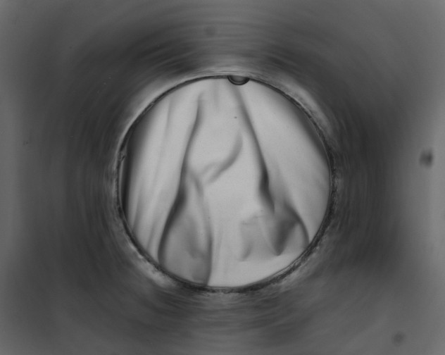 X0000101101236200807171904