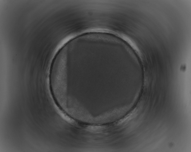 X0000101101237200807171904