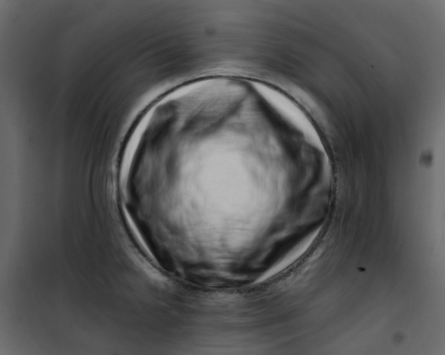 X0000101101238200807171904