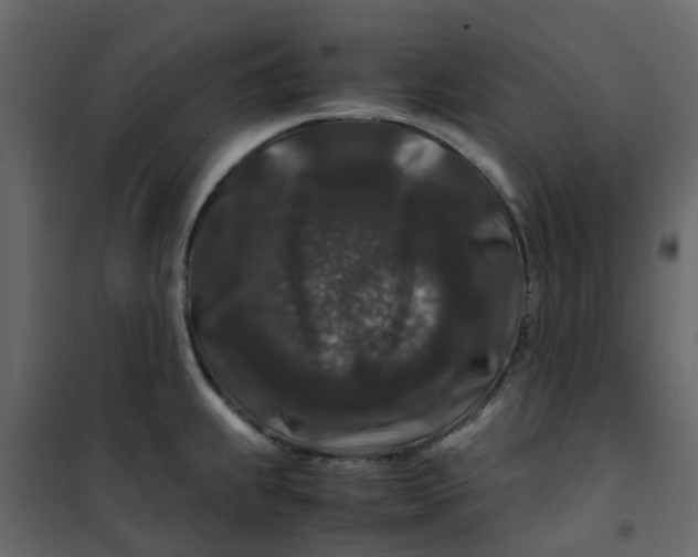 X0000101101239200807171904