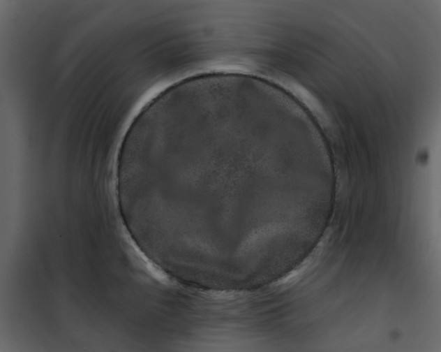 X0000101101240200807171904