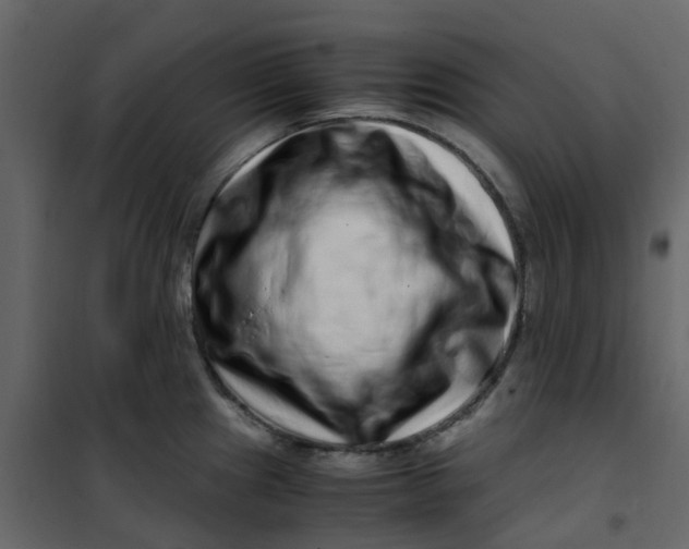 X0000101101241200807171904