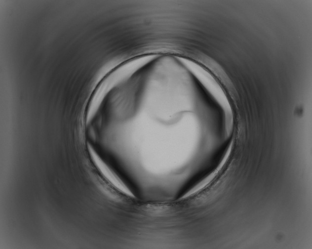 X0000101101242200807171904