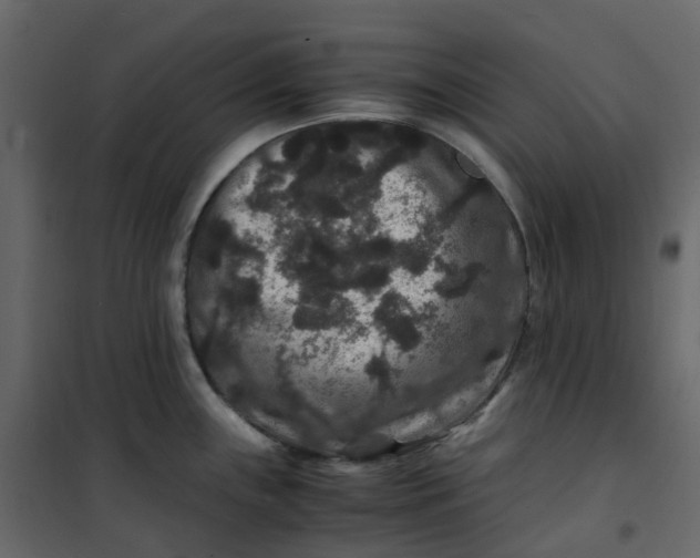 X0000101101243200807171904