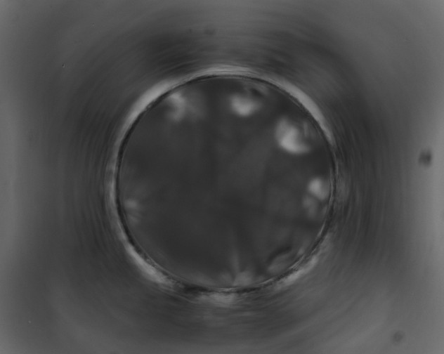 X0000101101245200807171904