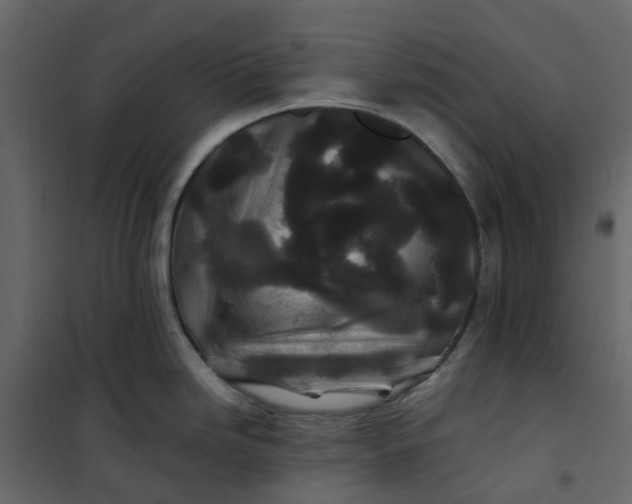 X0000101101246200807171904