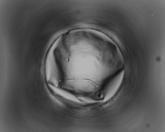 X0000101101247200807171904