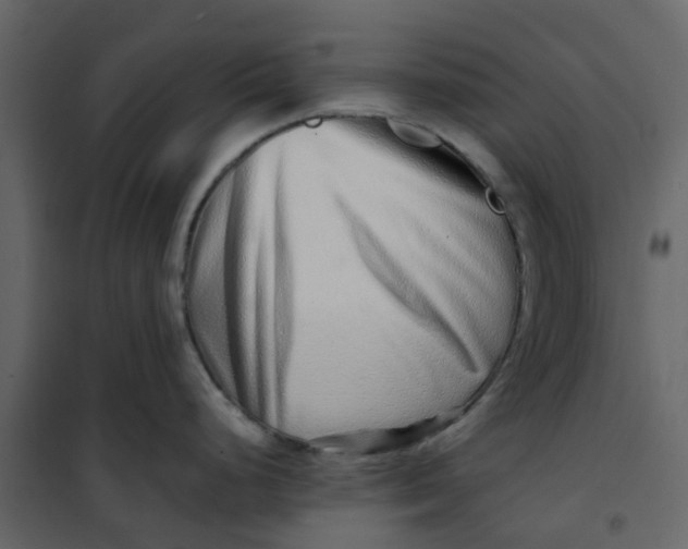 X0000101101248200807171904