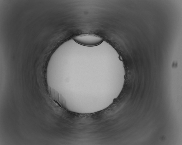 X0000101101249200807171904