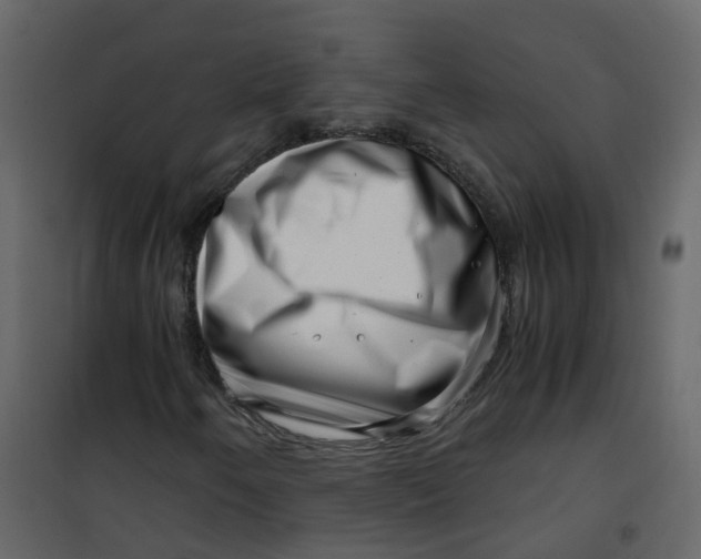 X0000101101250200807171904