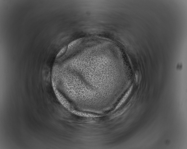 X0000101101251200807171903