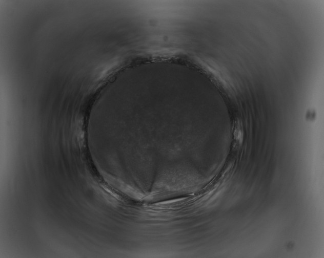 X0000101101252200807171903