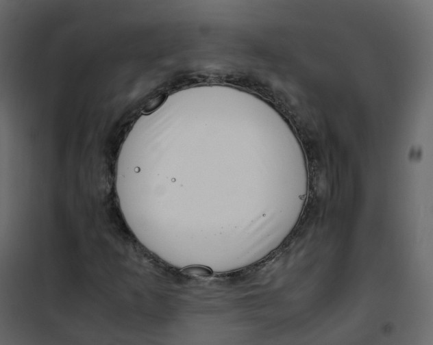 X0000101101253200807171903