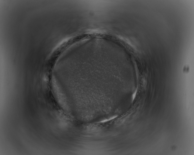 X0000101101254200807171903