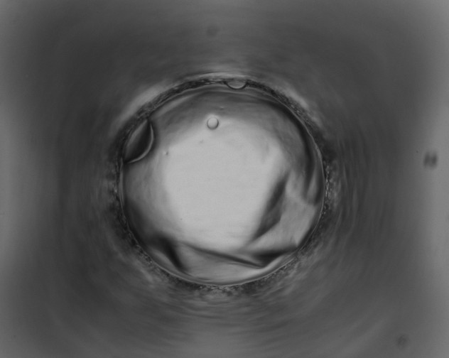 X0000101101255200807171903