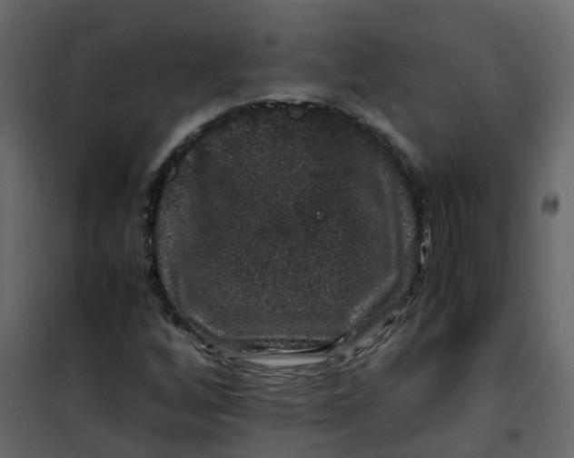 X0000101101256200807171903