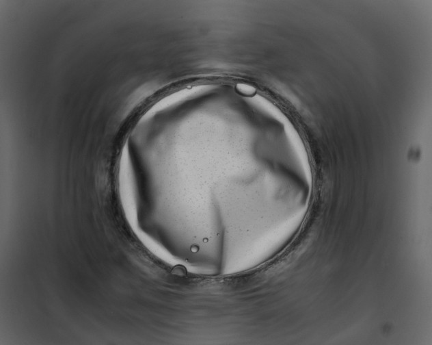 X0000101101259200807171903