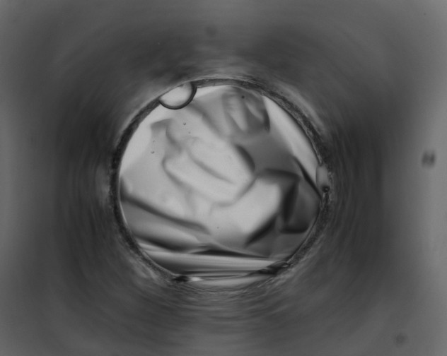 X0000101101260200807171903