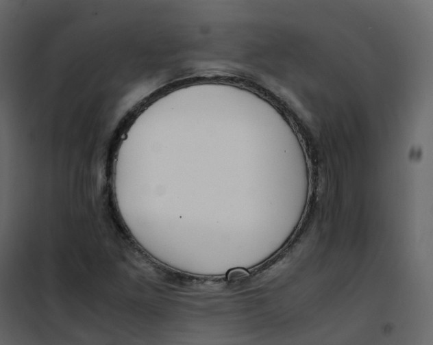 X0000101101261200807171903