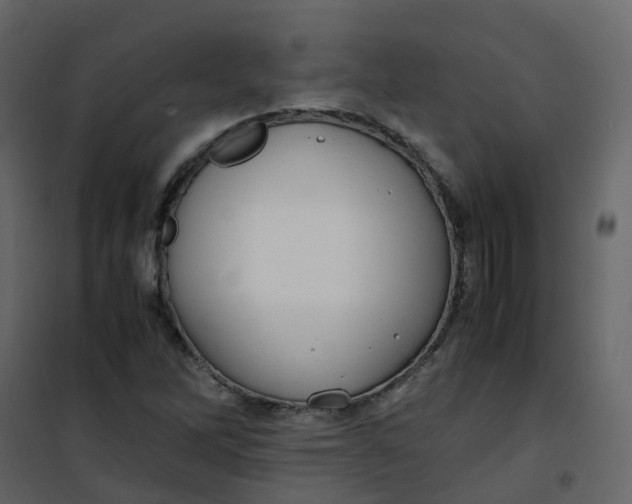 X0000101101262200807171903