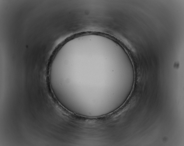 X0000101101264200807171903