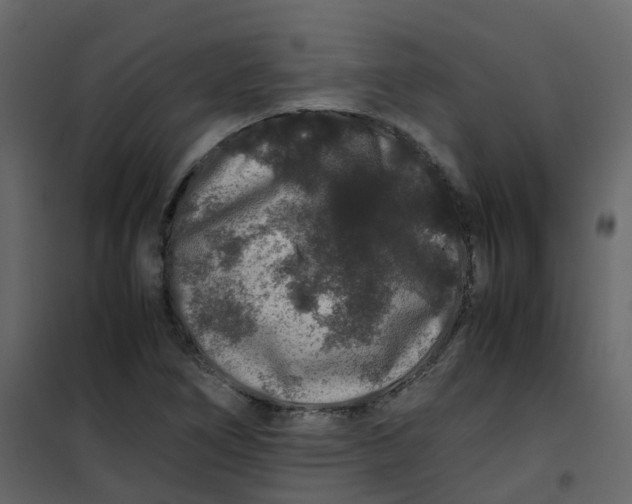 X0000101101266200807171903