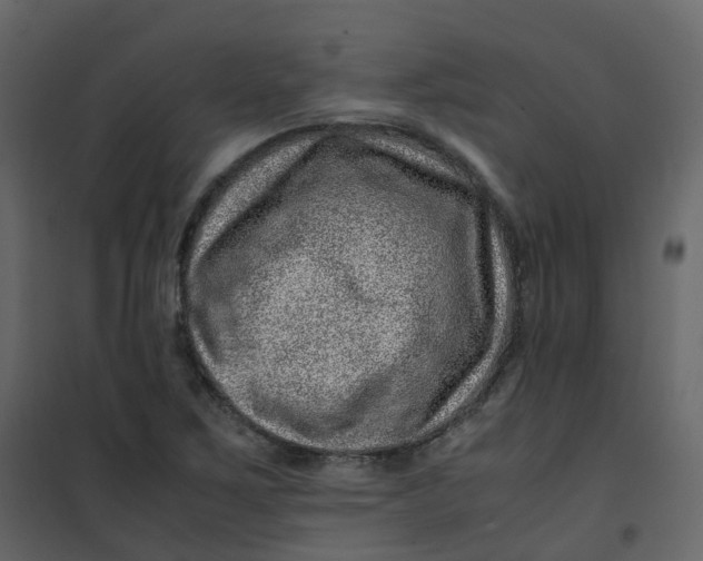 X0000101101267200807171903