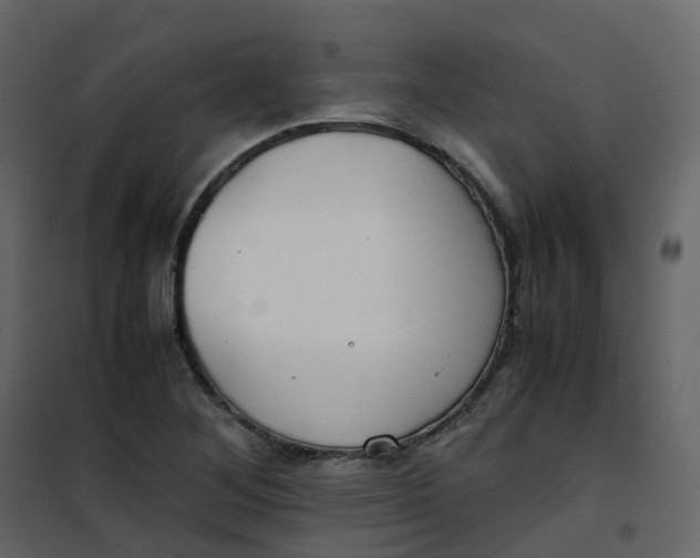 X0000101101268200807171903