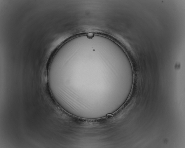 X0000101101269200807171903