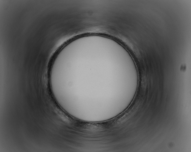 X0000101101270200807171903