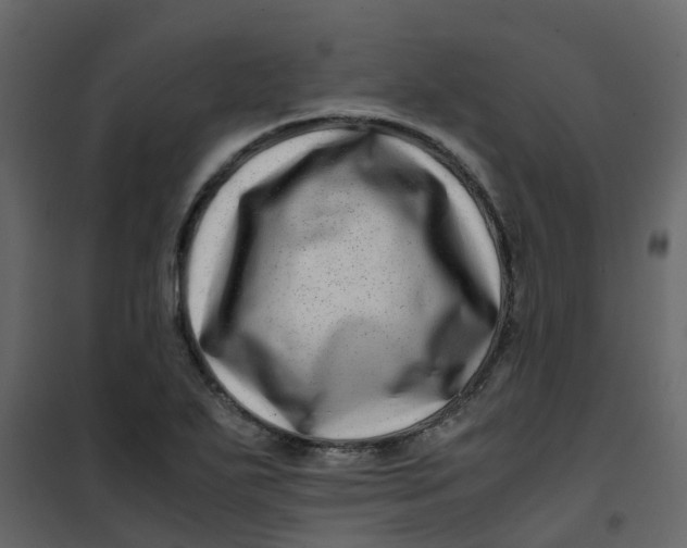 X0000101101271200807171903