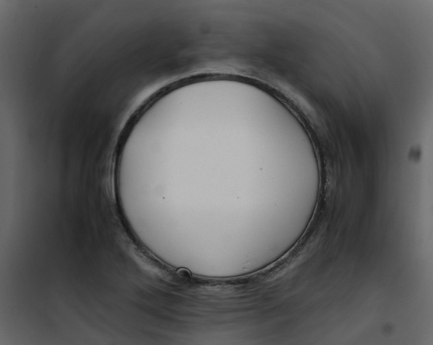 X0000101101272200807171903