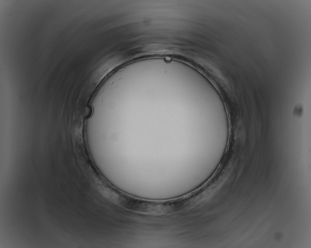 X0000101101273200807171903