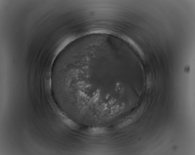 X0000101101274200807171903