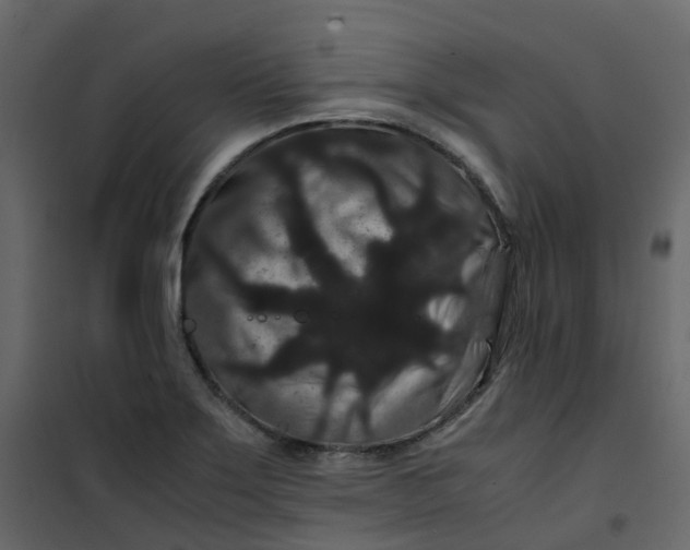 X0000101101275200807171903