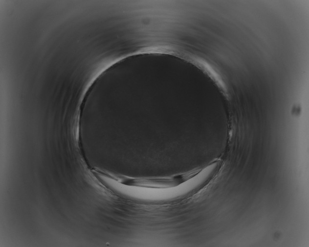 X0000101101276200807171903