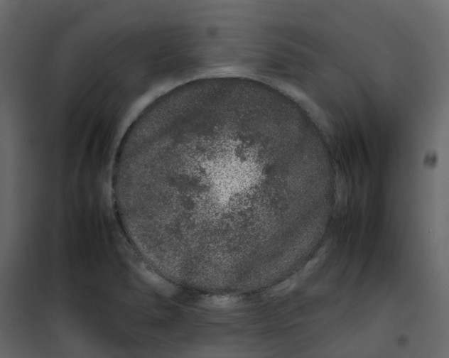 X0000101101278200807171903