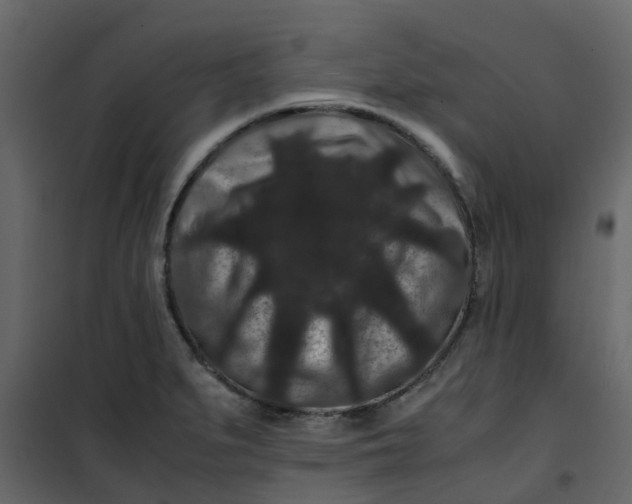 X0000101101279200807171903