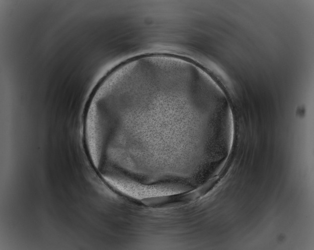 X0000101101280200807171903