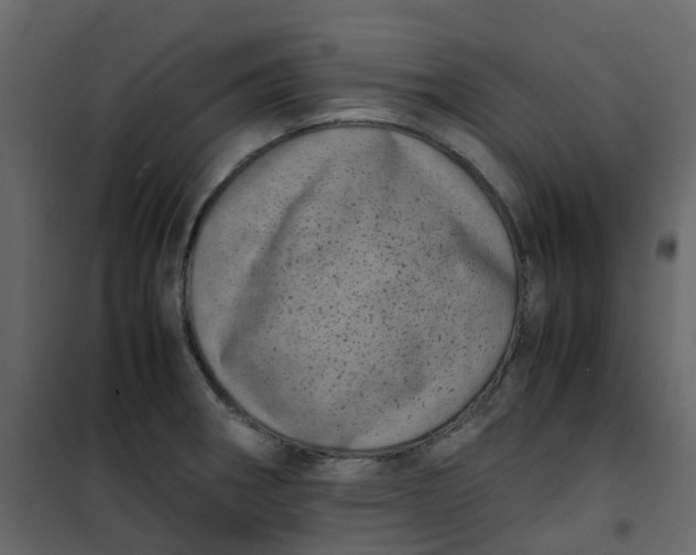 X0000101101282200807171903