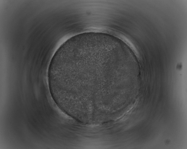 X0000101101283200807171903